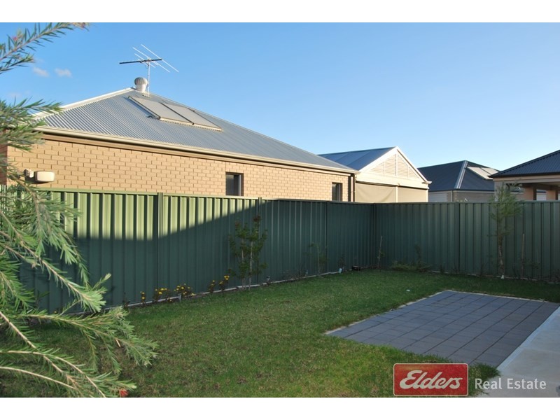 31 Hindmarsh Circuit, Mawson Lakes SA 5095