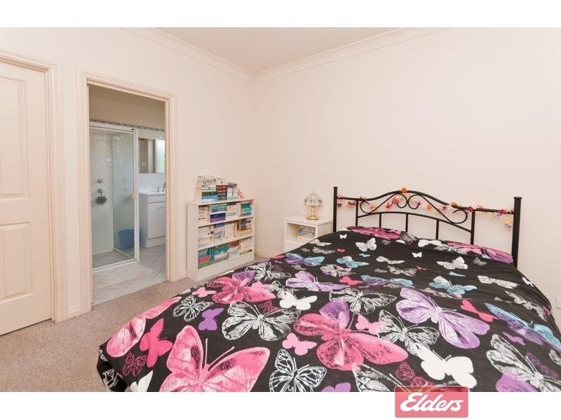 35 Swan Circuit, Mawson Lakes SA 5095