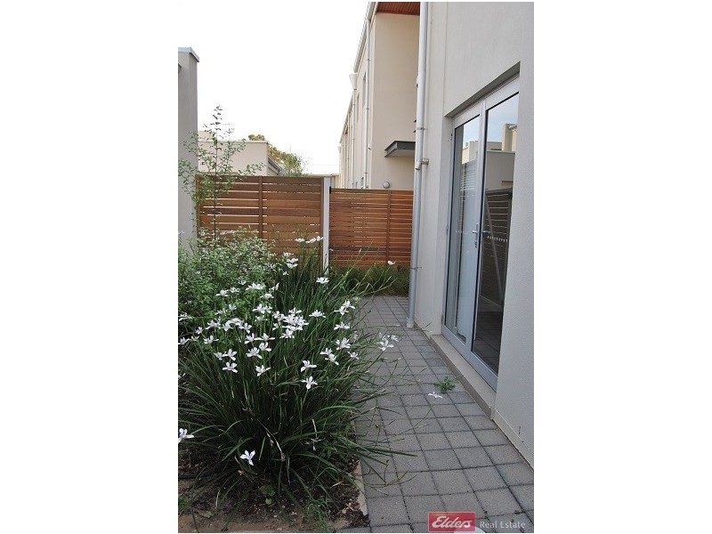 5 Lakeside Close, Mawson Lakes SA 5095