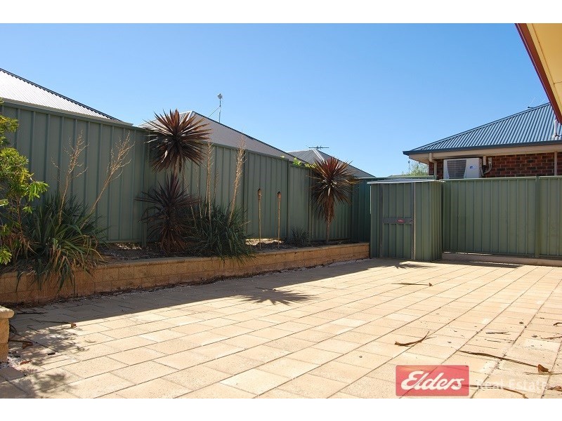 17 Newland Way, Mawson Lakes SA 5095