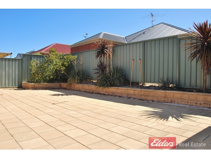 17 Newland Way, Mawson Lakes SA 5095