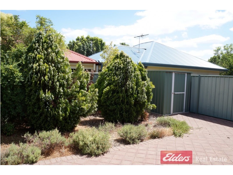 2 Poplar Court, Mawson Lakes SA 5095