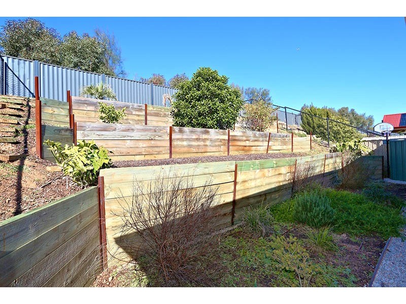 42 Franklin Avenue, Mawson Lakes SA 5095