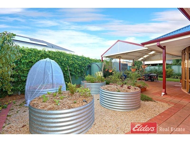 8 The Mews, Mawson Lakes SA 5095