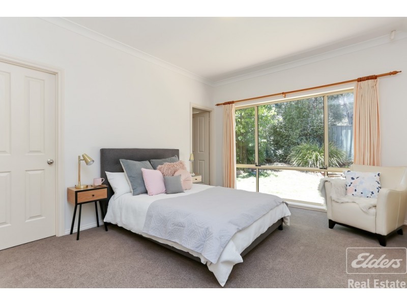 14 Export Lane, Mawson Lakes SA 5095