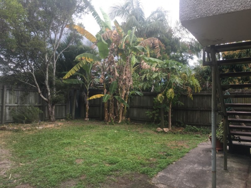 3/163 Bradman Avenue, Maroochydore QLD 4558