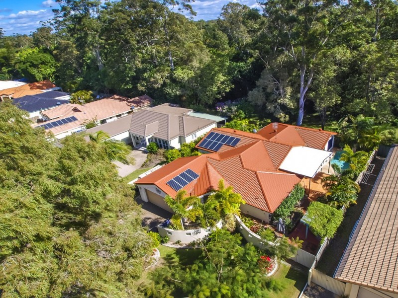 17 Nandewar Drive, Buderim QLD 4556