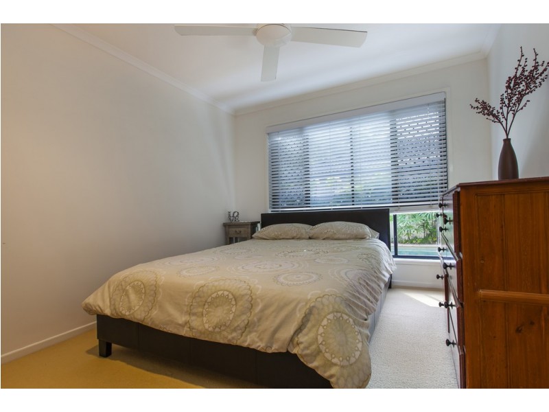 17 Nandewar Drive, Buderim QLD 4556