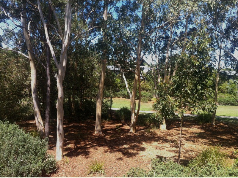 216/25 Chancellor Village Boulevard, Sippy Downs QLD 4556