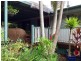 15 Glenmount Road, Buderim QLD 4556