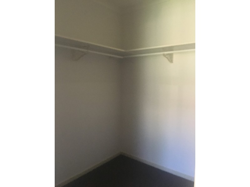 67 Frogmouth Circuit, Mountain Creek QLD 4557