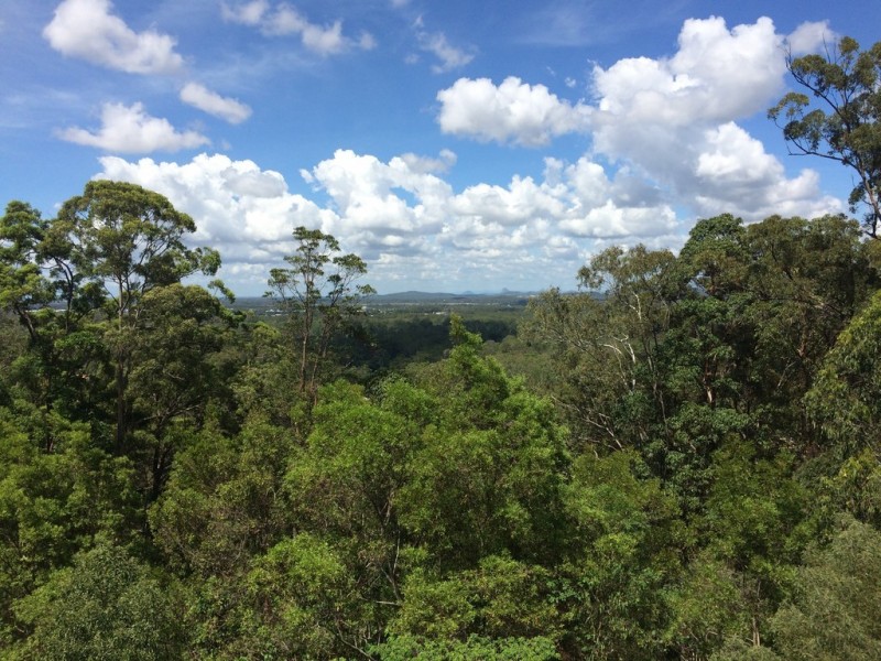 12 Donna Place, Buderim QLD 4556