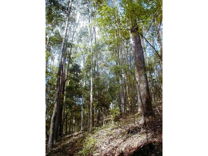 57 Ballinger Road, Buderim QLD 4556