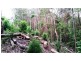 57 Ballinger Road, Buderim QLD 4556