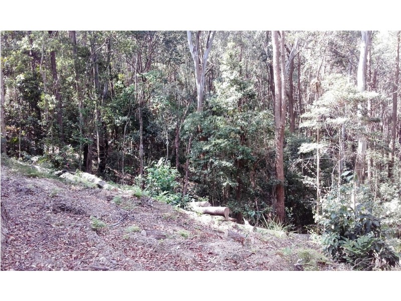 57 Ballinger Road, Buderim QLD 4556