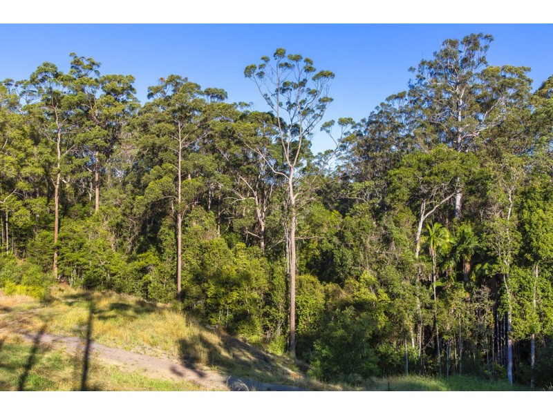 212 Mons School Rd, Buderim QLD 4556