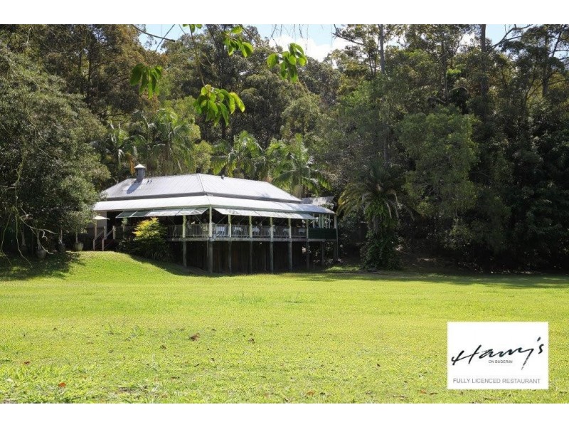 Buderim QLD 4556