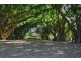 Buderim QLD 4556