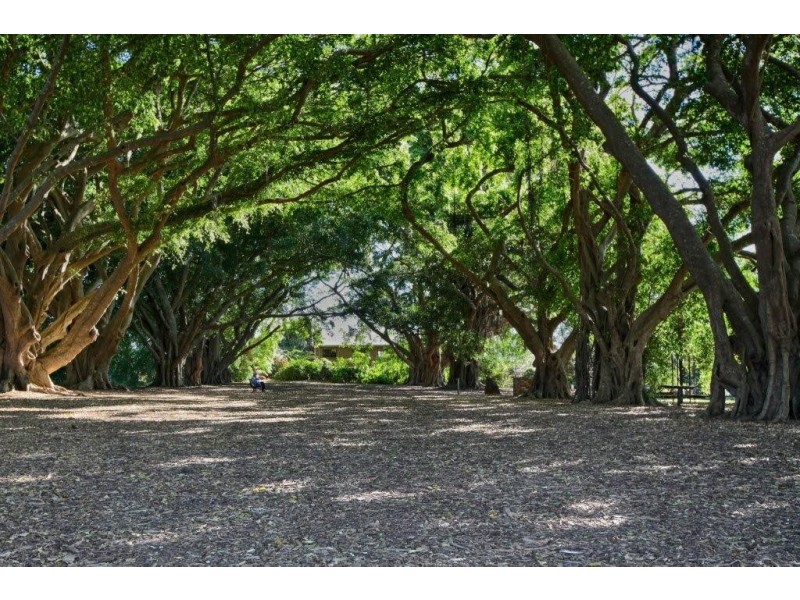 Buderim QLD 4556