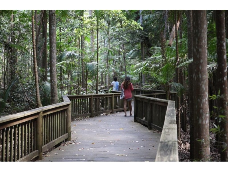 Buderim QLD 4556