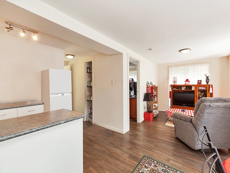 4 Fig Court, Buderim QLD 4556