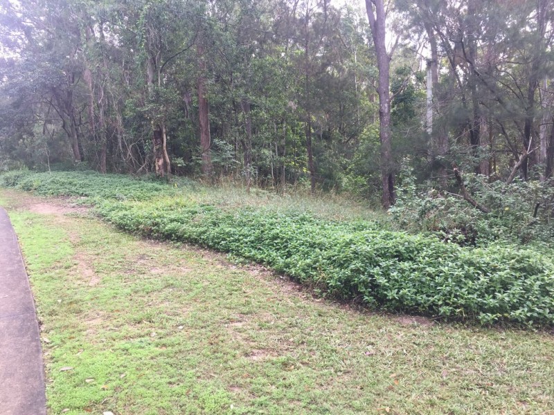57 Ballinger Rd, Buderim QLD 4556
