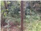 57 Ballinger Rd, Buderim QLD 4556