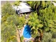 29 Mill, Buderim QLD 4556