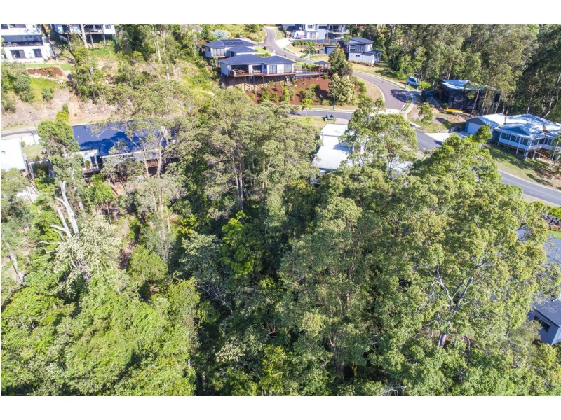 23 Birdwing Forest Place, Buderim QLD 4556