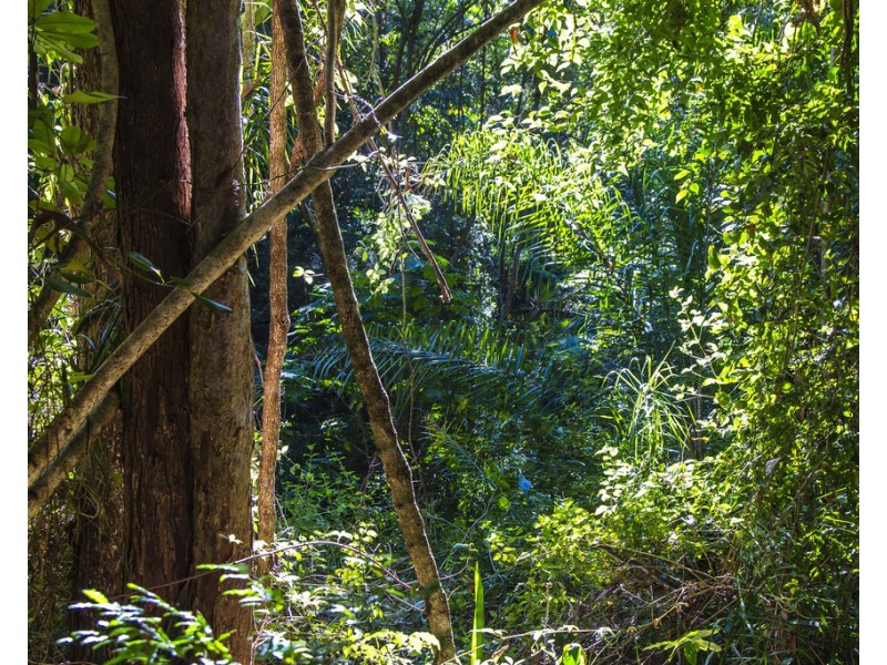 10A Dress Circle Court, Buderim QLD 4556