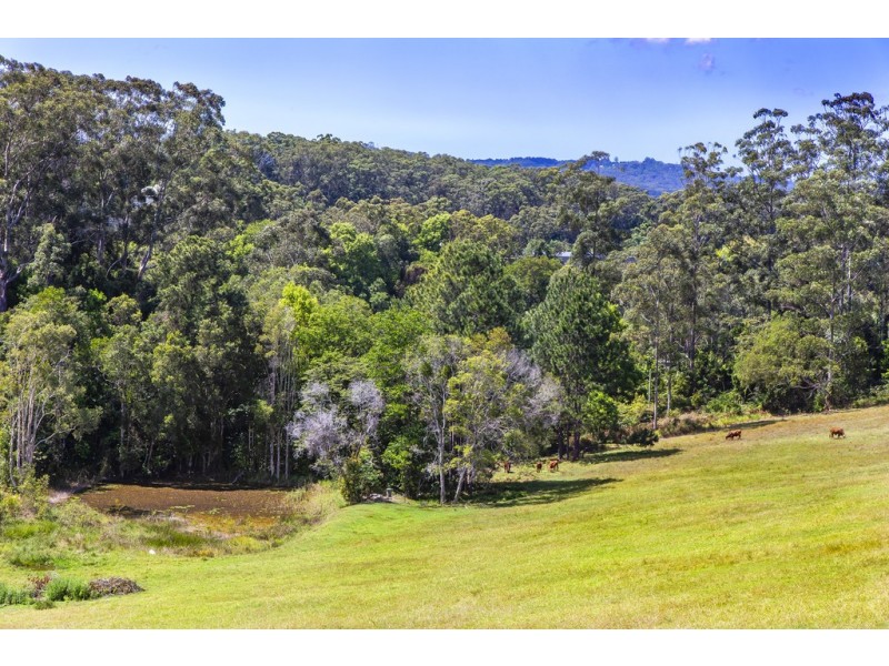 5 Kerlin Lane, Woombye QLD 4559