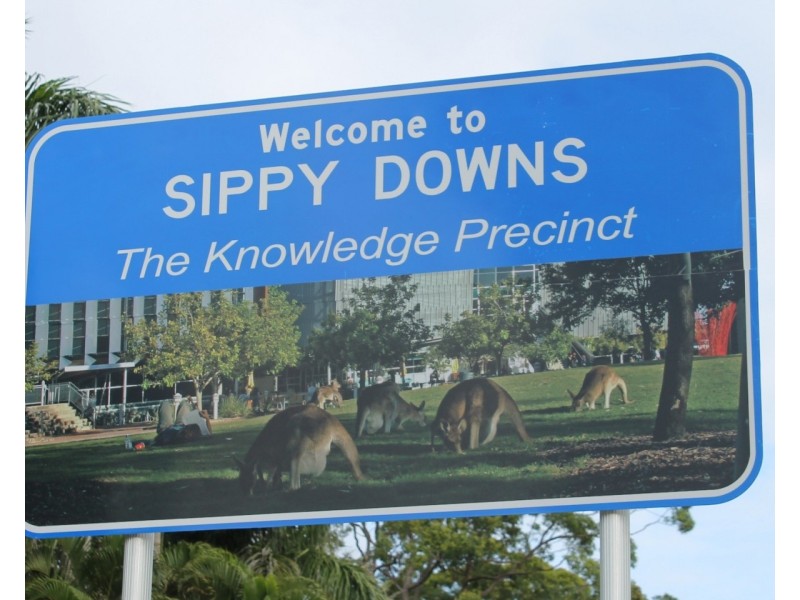 Sippy Downs QLD 4556