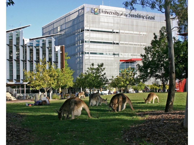 Sippy Downs QLD 4556