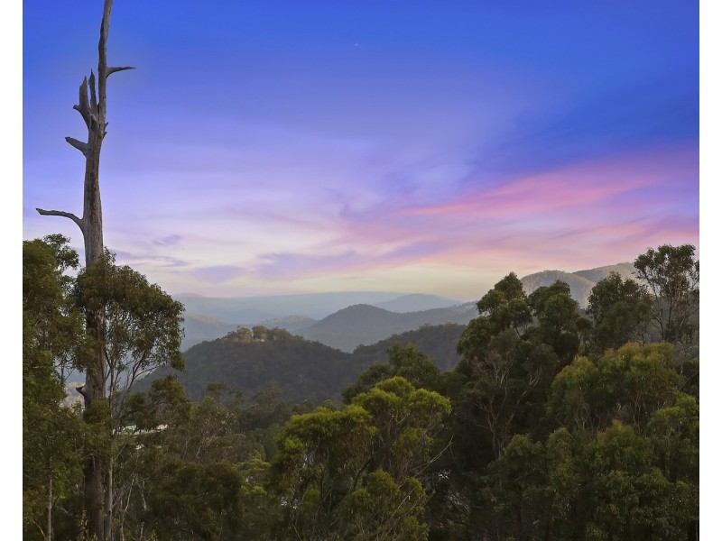 171 Guanaba Road, Tamborine Mountain QLD 4272