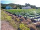 141 Valdora Road, Valdora QLD 4561