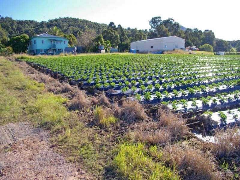 141 Valdora Road, Valdora QLD 4561