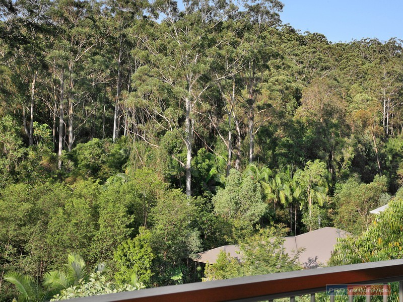 52 Martins Creek Road, Buderim QLD 4556