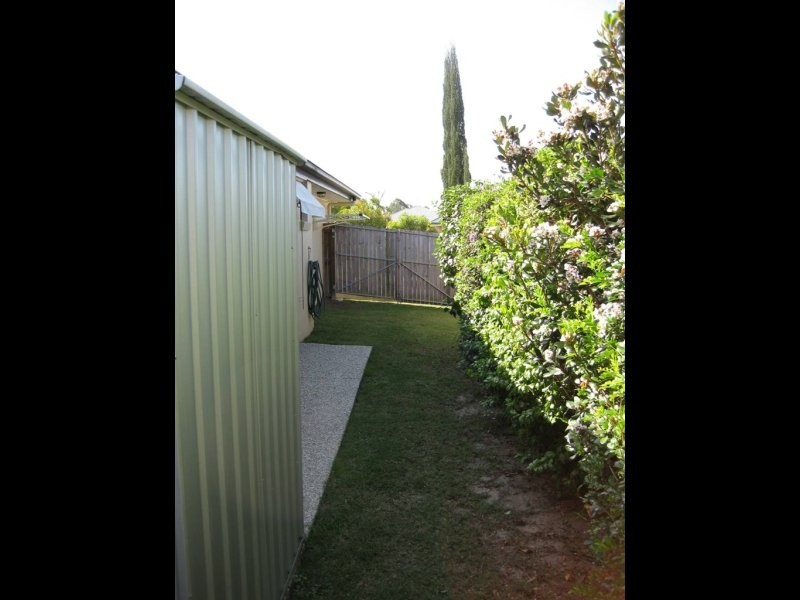 3 Rock Fig Court, Palmwoods QLD 4555