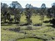 99 Simba Road, West Woombye QLD 4559