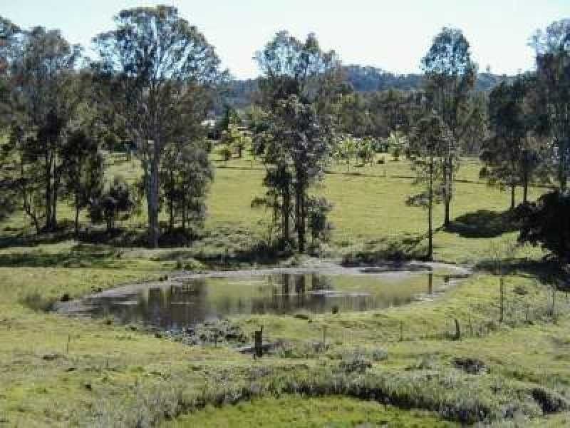 99 Simba Road, West Woombye QLD 4559