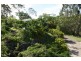 19 Buderim Vista Court, Buderim QLD 4556