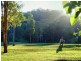 31 Palm Creek Road, Tanawha QLD 4556