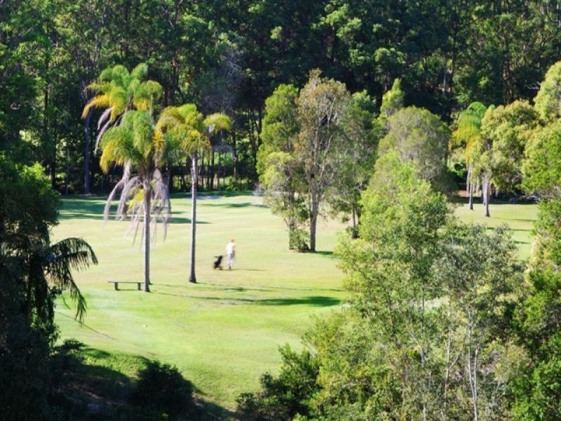31 Palm Creek Road, Tanawha QLD 4556