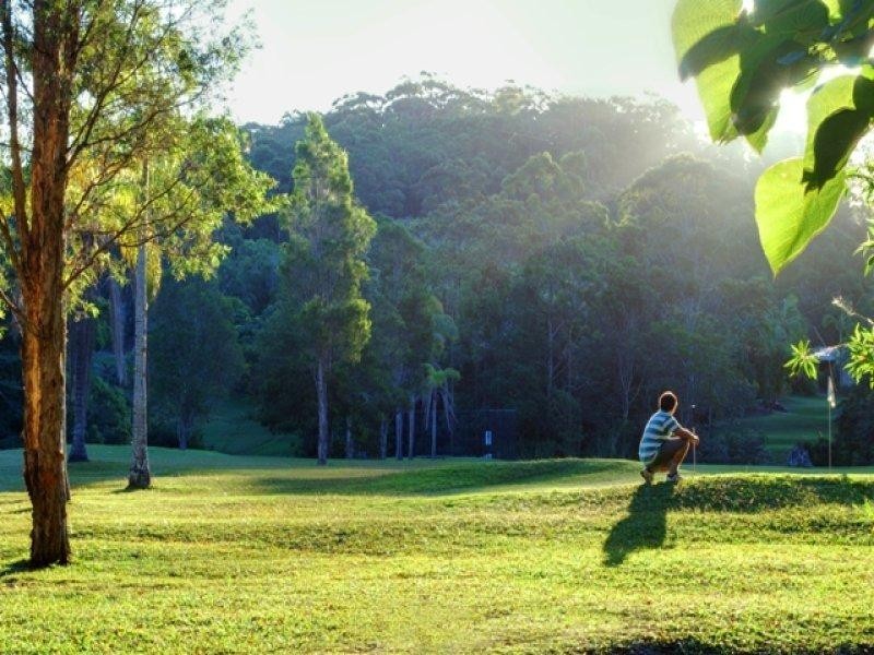 31 Palm Creek Road,, Forest Glen QLD 4556