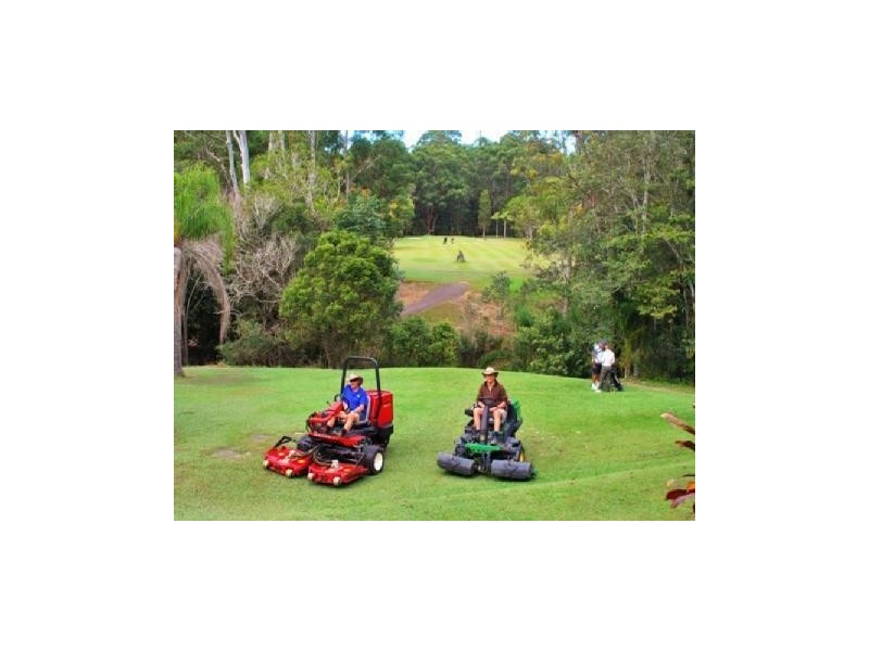 31 Palm Creek Road,, Forest Glen QLD 4556