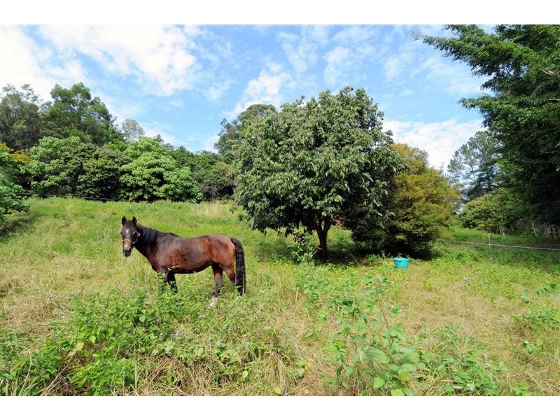 75 Sawreys Road, Buderim QLD 4556