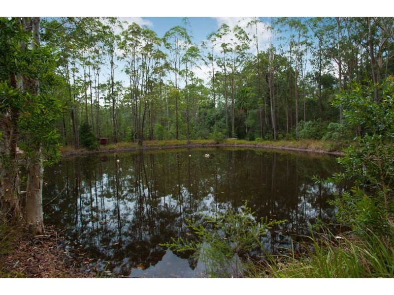 340 Wilson Road, Tanawha QLD 4556