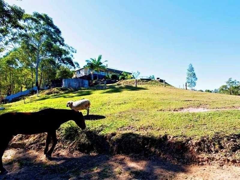 103 Perrins Road, Eudlo QLD 4554