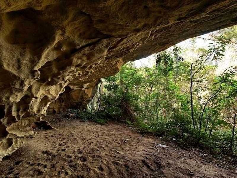 103 Perrins Road, Eudlo QLD 4554