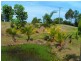 83 Atkinson Road, Bli Bli QLD 4560